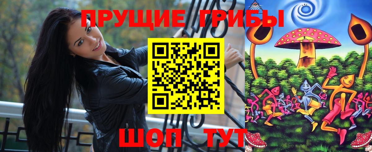Зеленогорск  Псилоцибиновые грибы прущие грибы  Вход с VPN  Псилоцибиновые грибы ЛСД 